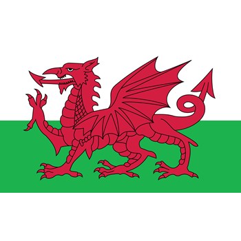 Welsh Climbing Logo